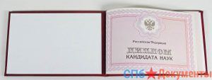 Диплом кандидата наук 2007-2025