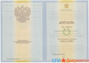 Диплом бакалавра 2010-2013