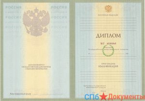 Диплом специалиста 2004-2009 год