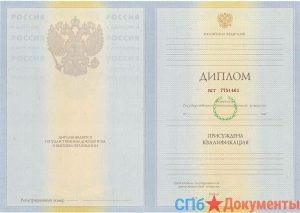 Диплом специалиста 2009-2011 год