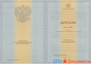 Диплом специалиста 2011-2013 год